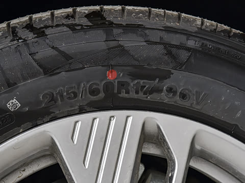 2025�� 445km ���ð�