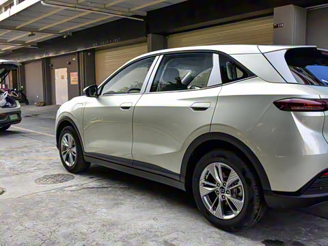 2025�� 565km ������