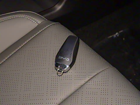 2025�� DM-i �Ǽݰ� 128KM��ȡ��