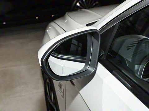 2026�� 300TSI DSG���������