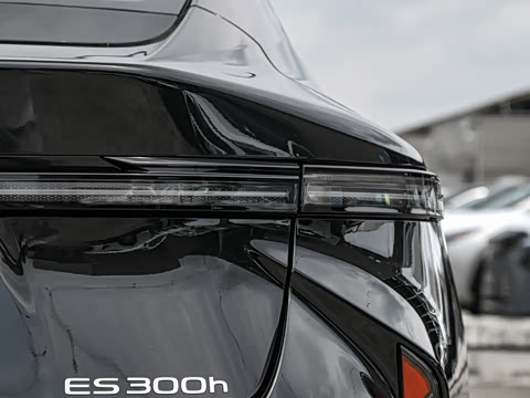 2026�� 300h