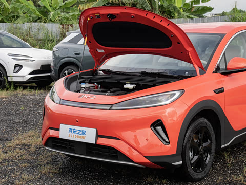 2026�� DM-i 220������