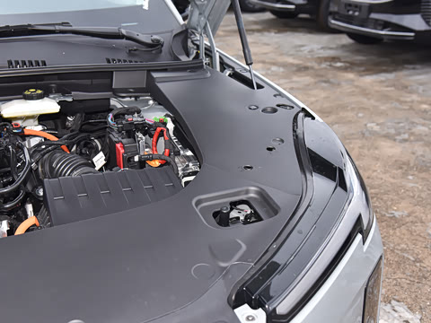 2026�� ������������Plus