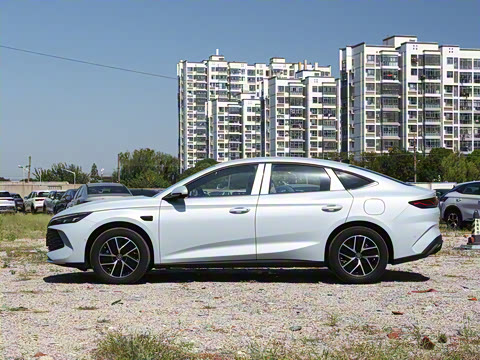 2026�� DM-i 128KM������