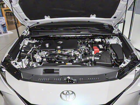 2026�� 2.0GVP ������