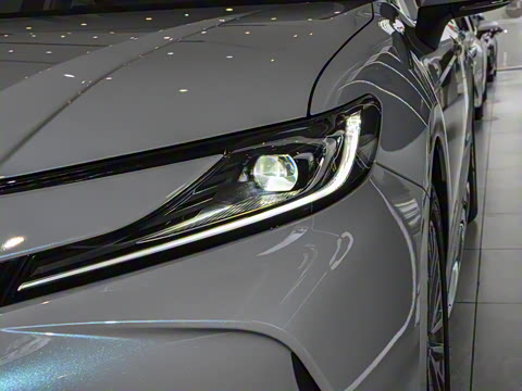 2026�� 2.0GVP ������