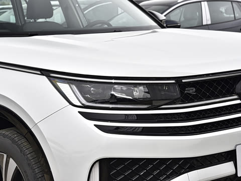 2026�� 380TSI ����R-LineѲ�� ������