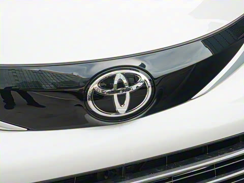 2026�� 2.5L ˫������������