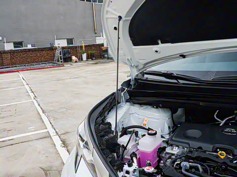 2026�� 2.5L ˫������������