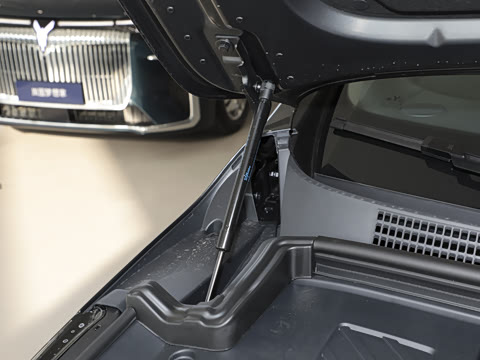 2025�� EV �������������