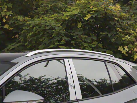 2026��  PURE+��