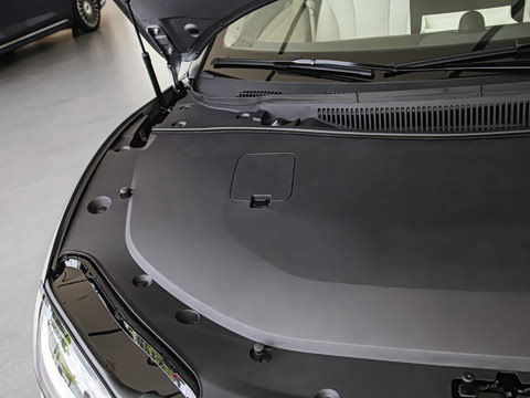 2025�� 705km Max