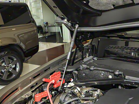 2025�� 110 3.0T P400 X