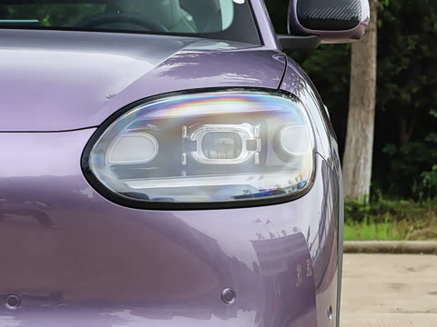 2026�� 310������