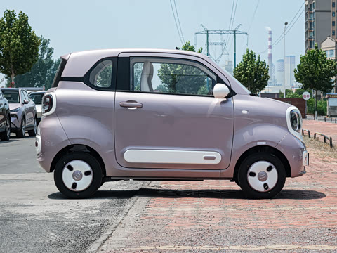 2026�� 222km ������