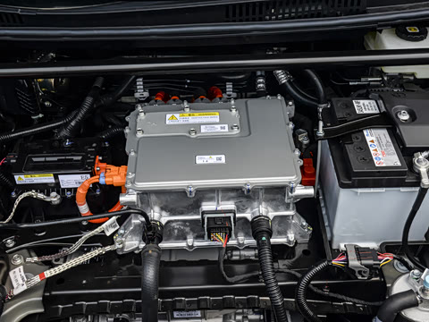 2026�� ������ JOY