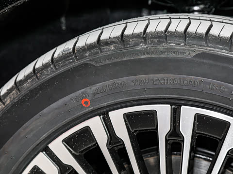 2026�� ���̰� 230����� 7��