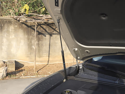 2026�� ����Max