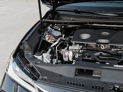 2026�� 2.0L ��ѡ��