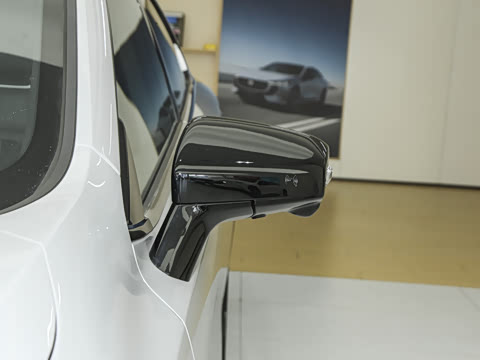 2025�� ����600�����˶���