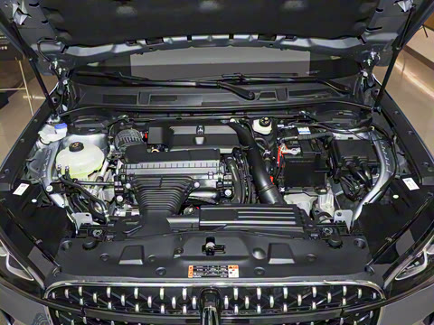 2025�� 2.0T �������Ű�