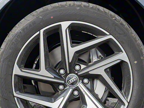 2026�� ����������