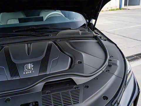 2025�� �Ǽݰ� DM-i 175KM �����