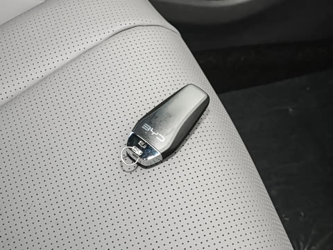 2026�� DM-i 1.5T 230km ������