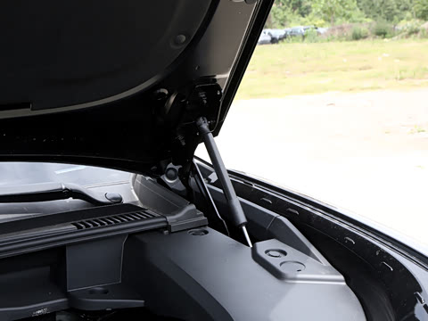 2026�� 230��������Max