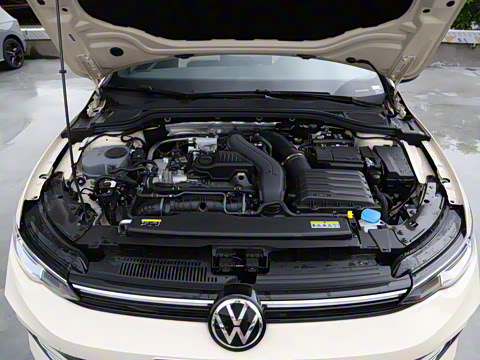 2025�� �Ŀ� 300TSI Pro