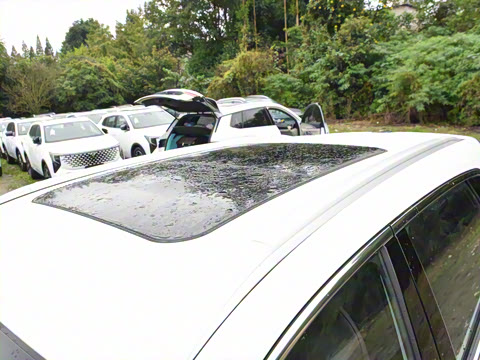 2026�� ���Ĵ� ������ 1.5T ���������