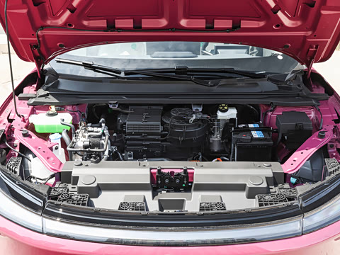 2026�� 535 MAX�����
