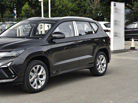 2026�� 280TSI �Զ��ȷ��