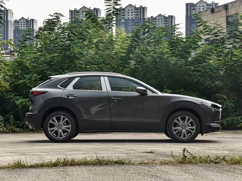 2025�� 2.0L �Զ�������