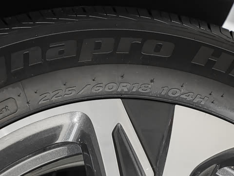 2025�� ���� ����������ԭ�� ����