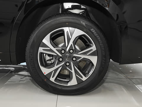 2025�� ���� ����������ԭ�� ����