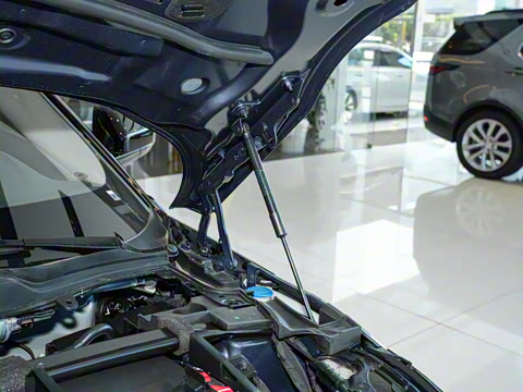 2026�� ��ʤ���� L SE