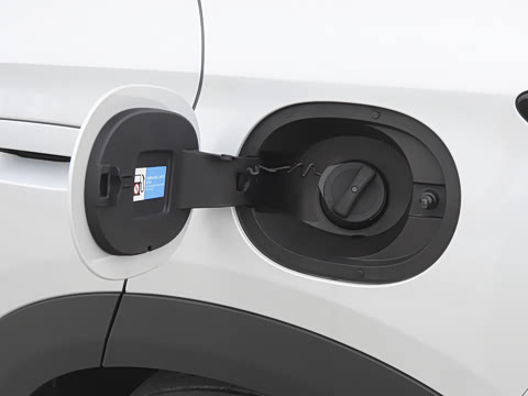2026�� DM-i 220������