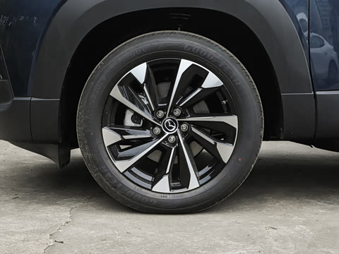 2026�� 2.5L ���а�