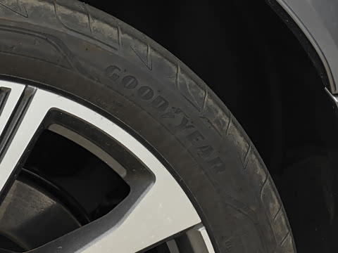 2026�� quattro Ǭ���Ǽݰ�