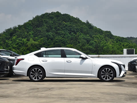 2025�� 28T �����˶���