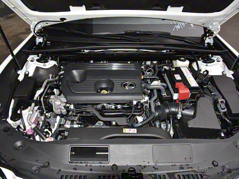 2025�� 200 ������