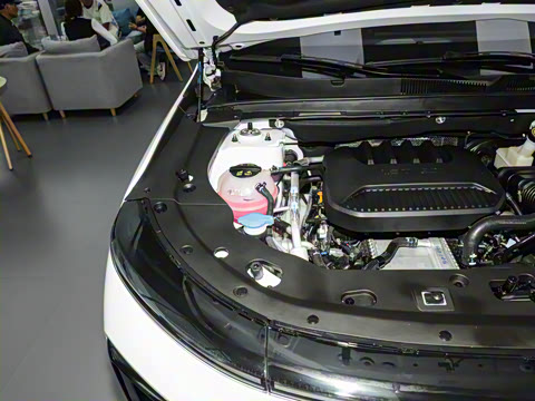 2025�� 1.5T �������Ȱ� 5��