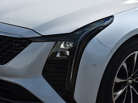 2025�� 28T �����˶���