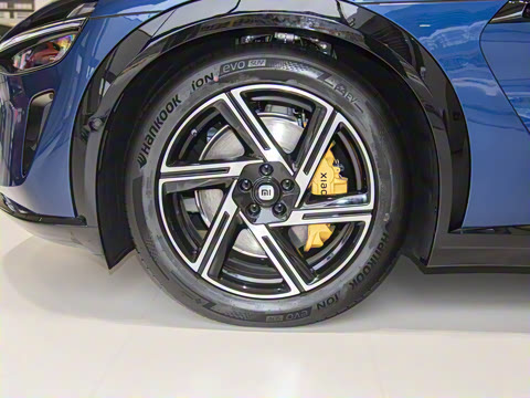 2025�� ������������Pro��