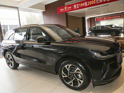 2025�� �Ŀ� 2.0T �������ݻ춯��