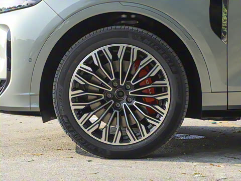 2025�� FREE+ ����Ǭ����