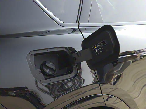 2025�� FREE+ ����Ǭ����