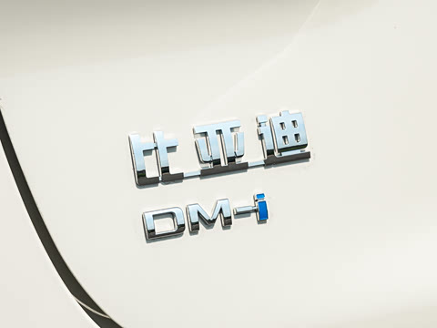 2027�� DM-i 320KM������