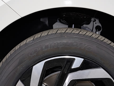 2026�� Pro 300TSI �ǿ��������